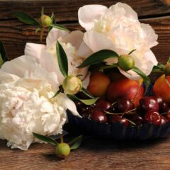 Bluegrasssteeplechase